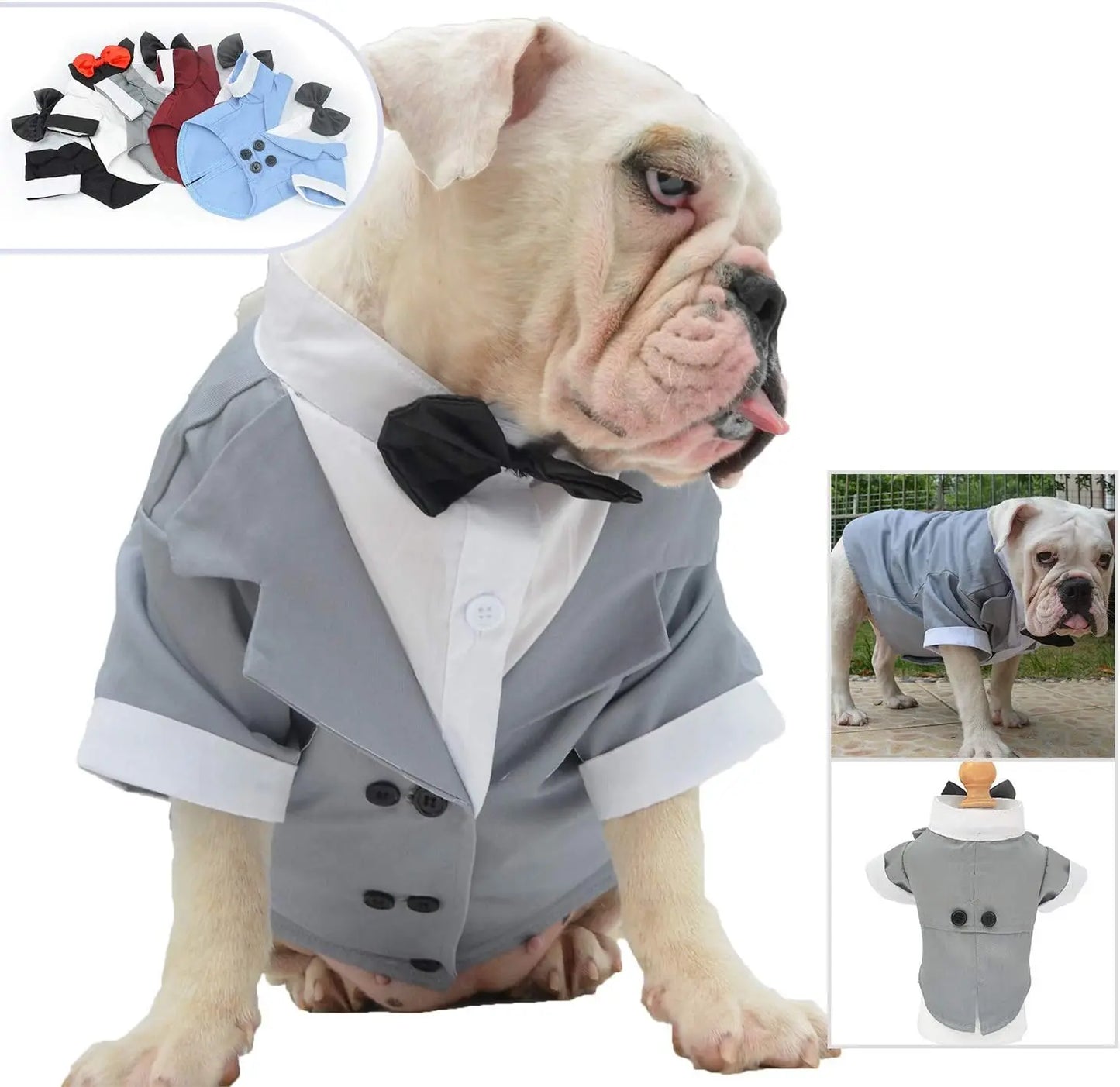 New Bulldog Costume Dog Suit Formal Tuxedo with Black Bowtie Wedding Clothing