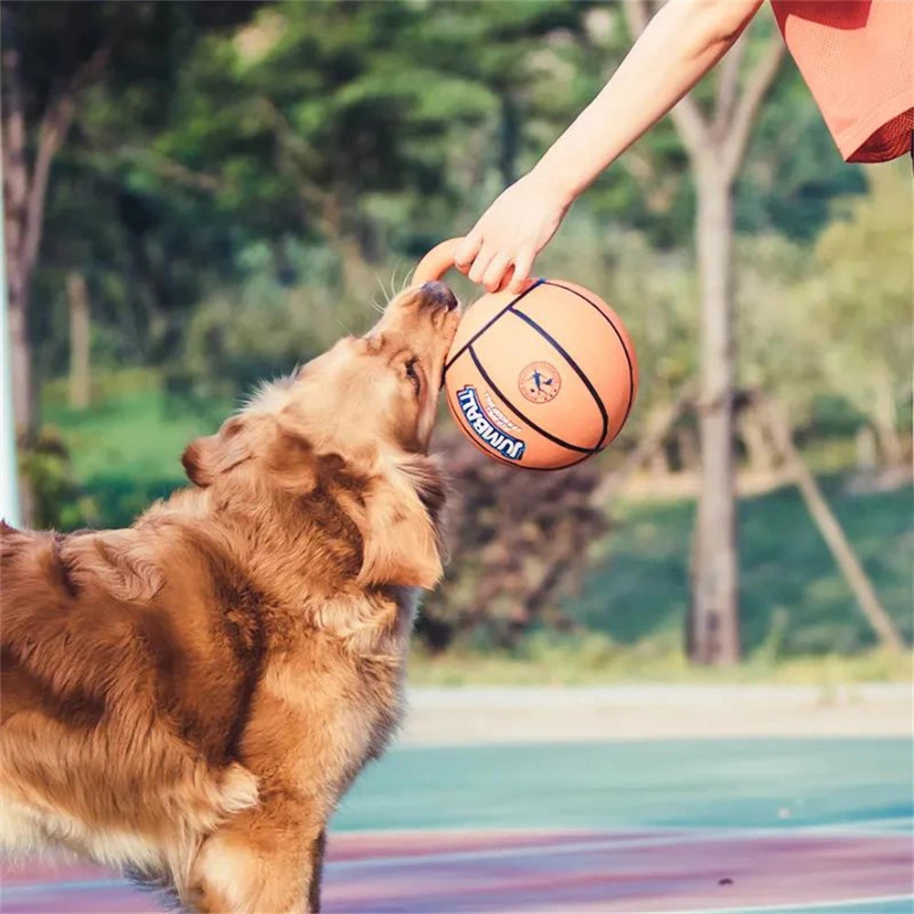 Dog Toy Ball Bite Resistant Basketball 