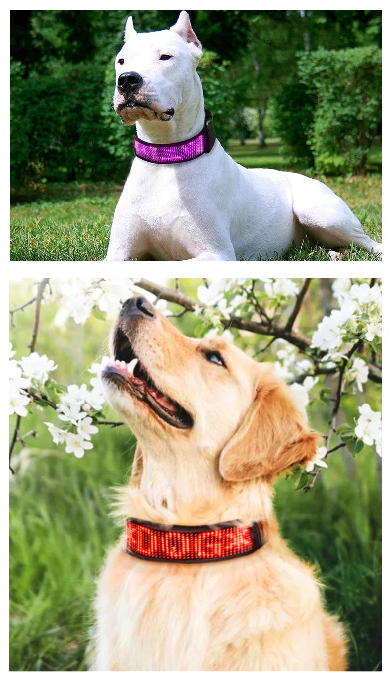 Pet Anti-Lost Collar Bluetooth LED Display Adjustable Size Night Luminous USB