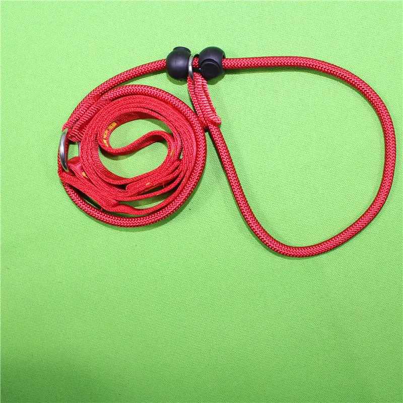 Dog Choking Training Rope Pet Training Rope 