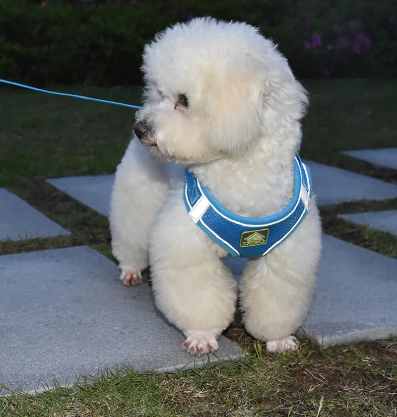 Conjunto de arnés y correa reflectante para mascotas, chaleco sin tirones para perros y gatos, malla transpirable