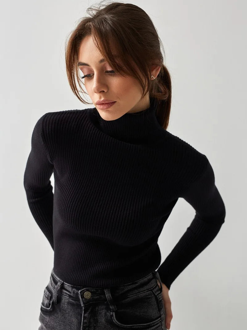 Bornladies Women Turtleneck Basic Sweaters Slim Tops Sweater 