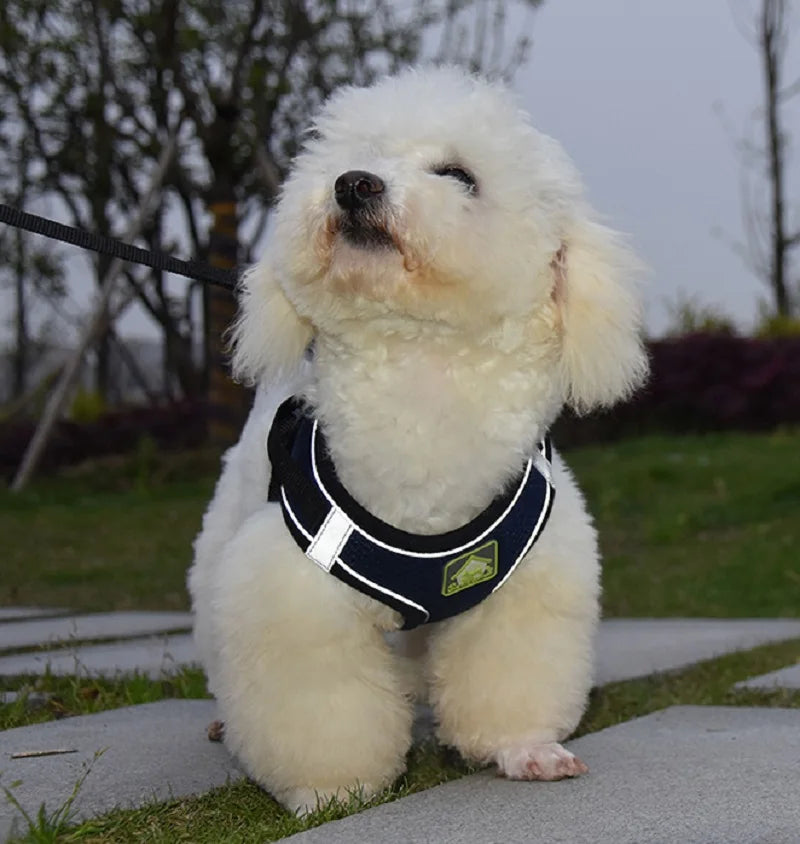 Conjunto de arnés y correa reflectante para mascotas, chaleco sin tirones para perros y gatos, malla transpirable