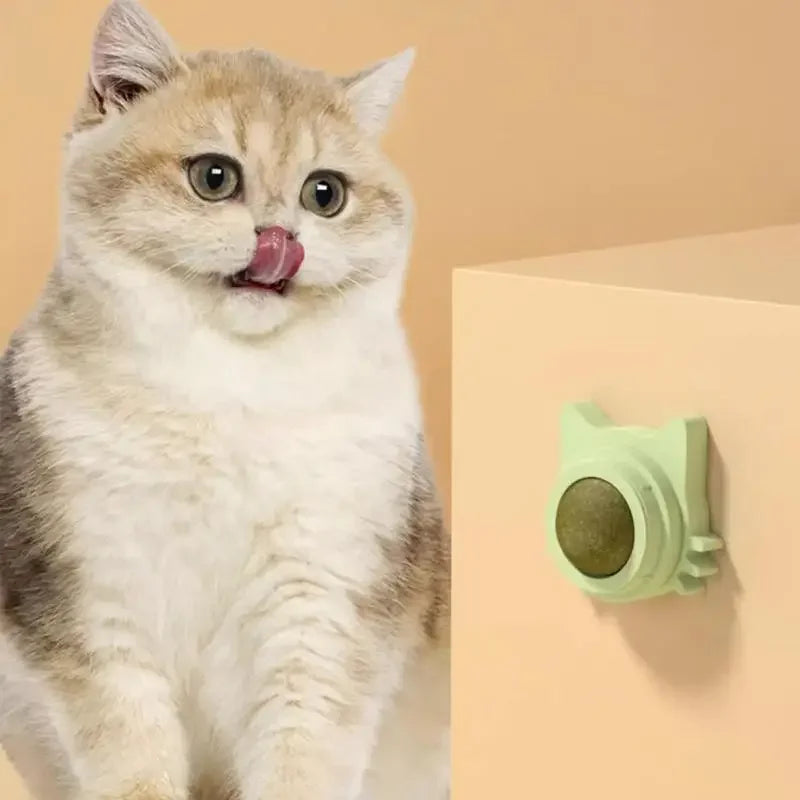 Bolas de hierba gatera divertidas y lickables para gatos, bolas de hierba gatera para jugar a masticar, limpieza de dientes, juguete para gatos pequeños y medianos, suministros para mascotas