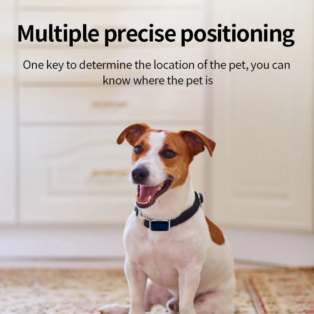 Rastreador GPS inteligente G12 multifuncional para mascotas, Mini Collar anti pérdida, dispositivo localizador impermeable para perros y gatos, accesorios para mascotas