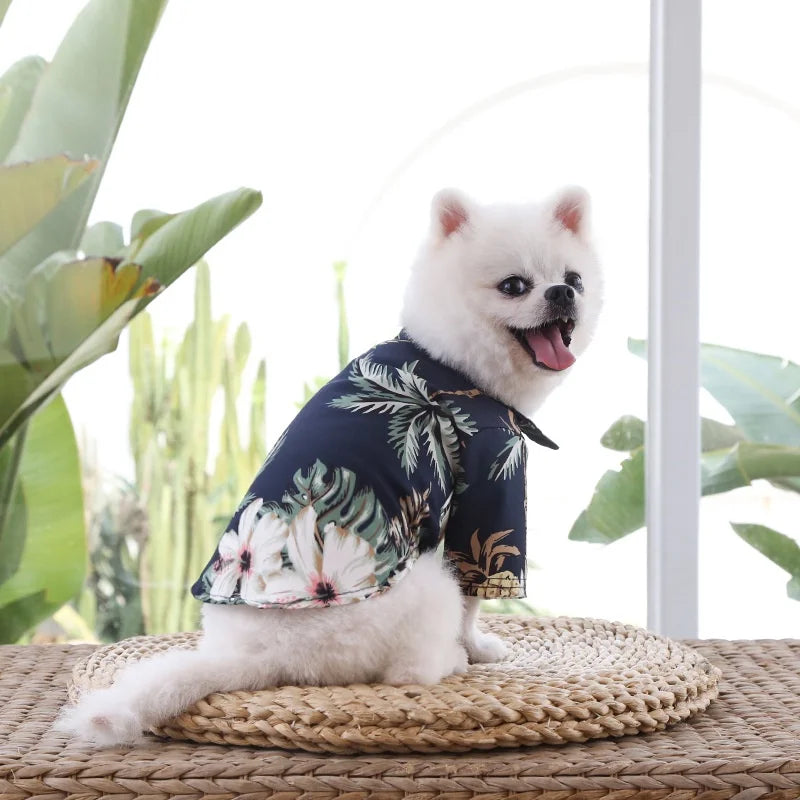 Camisa de piña de playa para perros pequeños y medianos, ropa Hawaiana para perros y gatos, golden retriever, temporada de primavera y verano