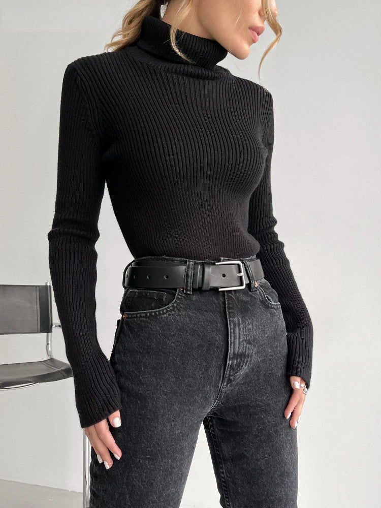 Bornladies Women Turtleneck Basic Sweaters Slim Tops Sweater 