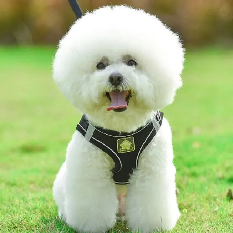 Conjunto de arnés y correa reflectante para mascotas, chaleco sin tirones para perros y gatos, malla transpirable