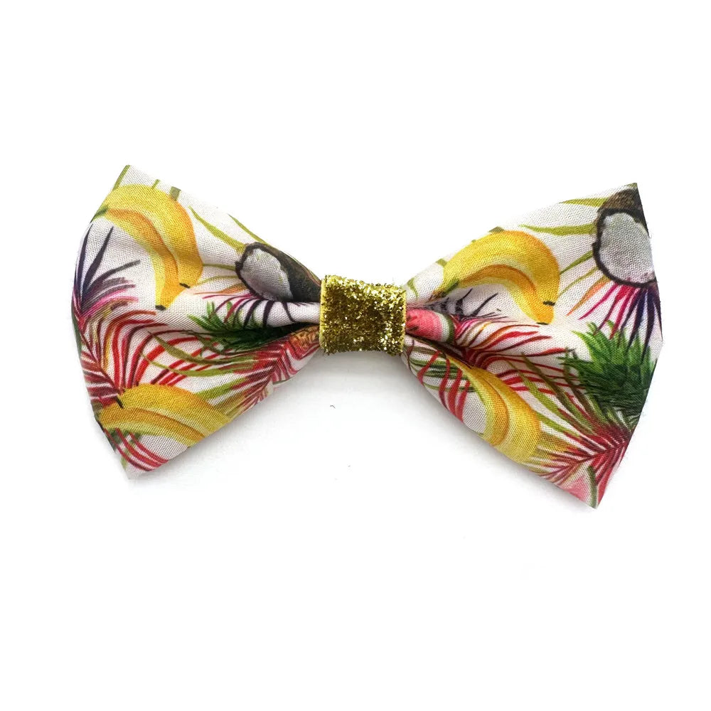 50/100 Pcs Mixcolor Pet Products Bow Tie Summer Fruit Style Co