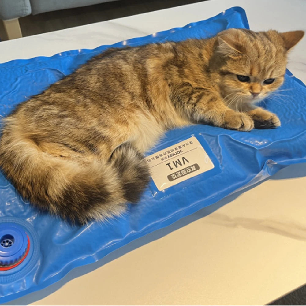 Pet Vacuum Positioning Mat Surgical Accessories 