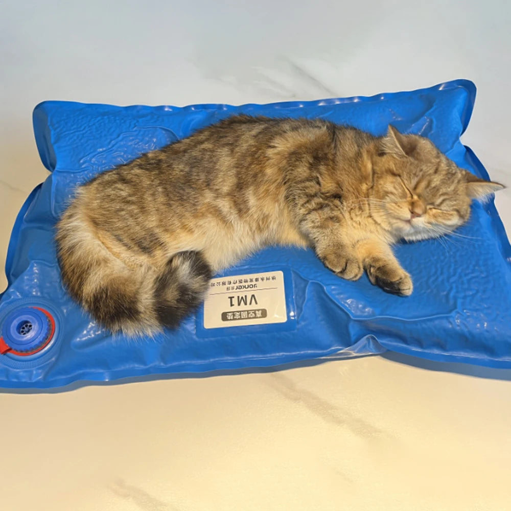 Pet Vacuum Positioning Mat Surgical Accessories 