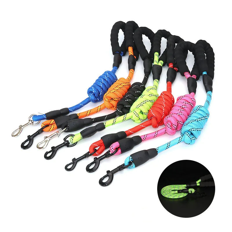 Reflective Pet Leash, Padded Handle, Comfortable for Small Dogs 