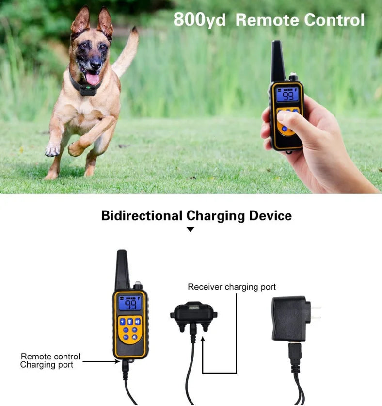 Electric Dog Training Collar Waterproof Dog Bark Collar Pet with Remote Control