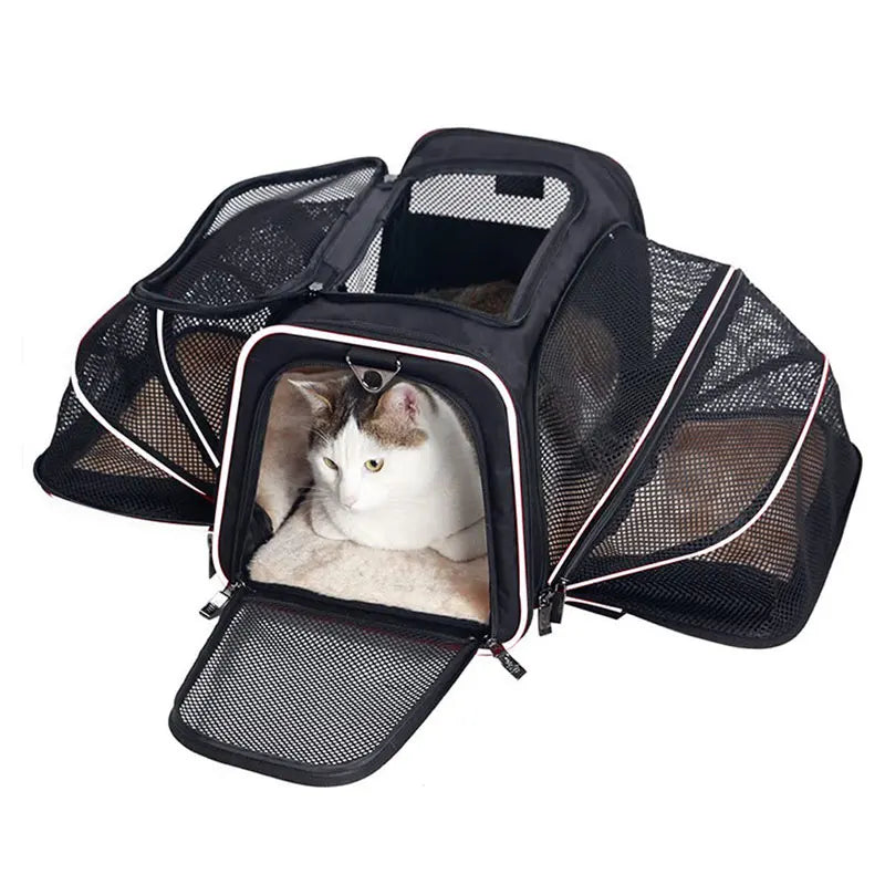 Mochila DE Transporte portátil para mascotas, bolso de hombro plegable transpirable, bolsas de transporte para gatos y perros, bolso de viaje para mascotas, bolsa de transporte