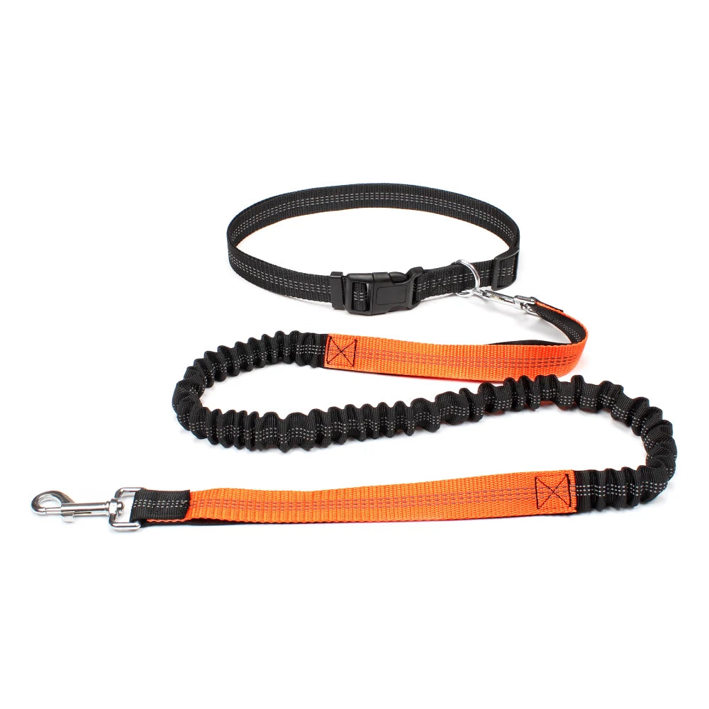 Dog Leash for Walking Running Jogging Adjustable Waist Belt C 