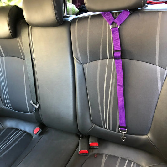 Cinturón de seguridad de coche para mascotas, correa de plomo de nailon, cinturón de seguridad de asiento trasero, Collar de arnés ajustable para perros, accesorios para mascotas, Color sólido, 2 en 1