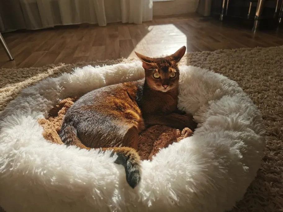 Super Soft Round Pet Bed Long Plush Dog House for Medium Dogs 