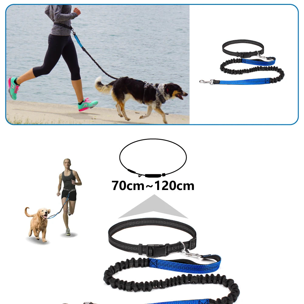 Dog Leash for Walking Running Jogging Adjustable Waist Belt C 