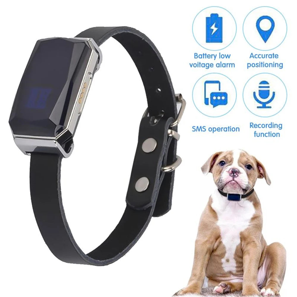 Rastreador GPS inteligente G12 multifuncional para mascotas, Mini Collar anti pérdida, dispositivo localizador impermeable para perros y gatos, accesorios para mascotas