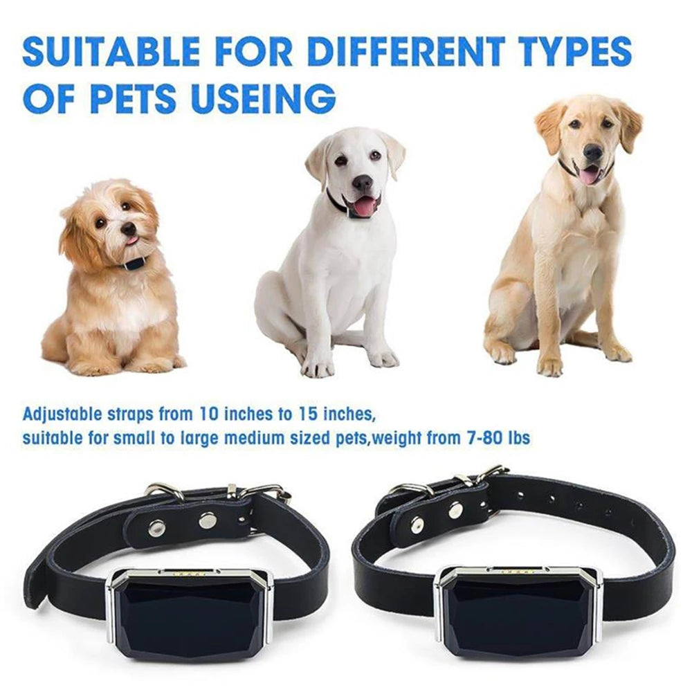 Rastreador GPS inteligente G12 multifuncional para mascotas, Mini Collar anti pérdida, dispositivo localizador impermeable para perros y gatos, accesorios para mascotas