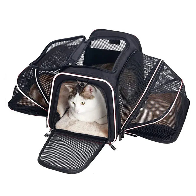 Mochila DE Transporte portátil para mascotas, bolso de hombro plegable transpirable, bolsas de transporte para gatos y perros, bolso de viaje para mascotas, bolsa de transporte