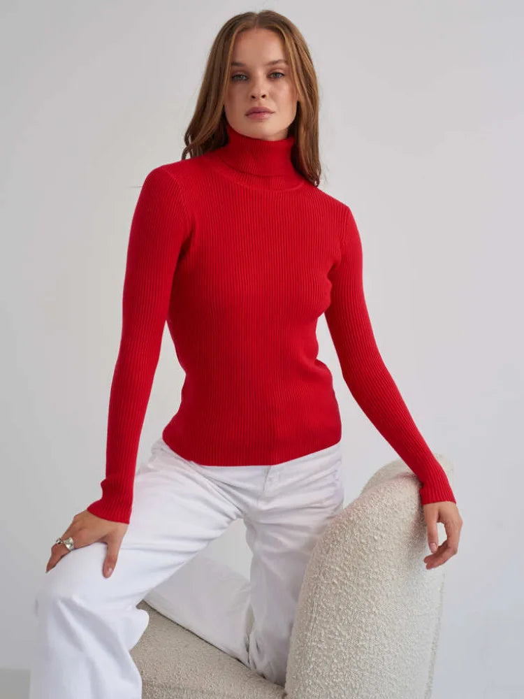 Bornladies Women Turtleneck Basic Sweaters Slim Tops Sweater 