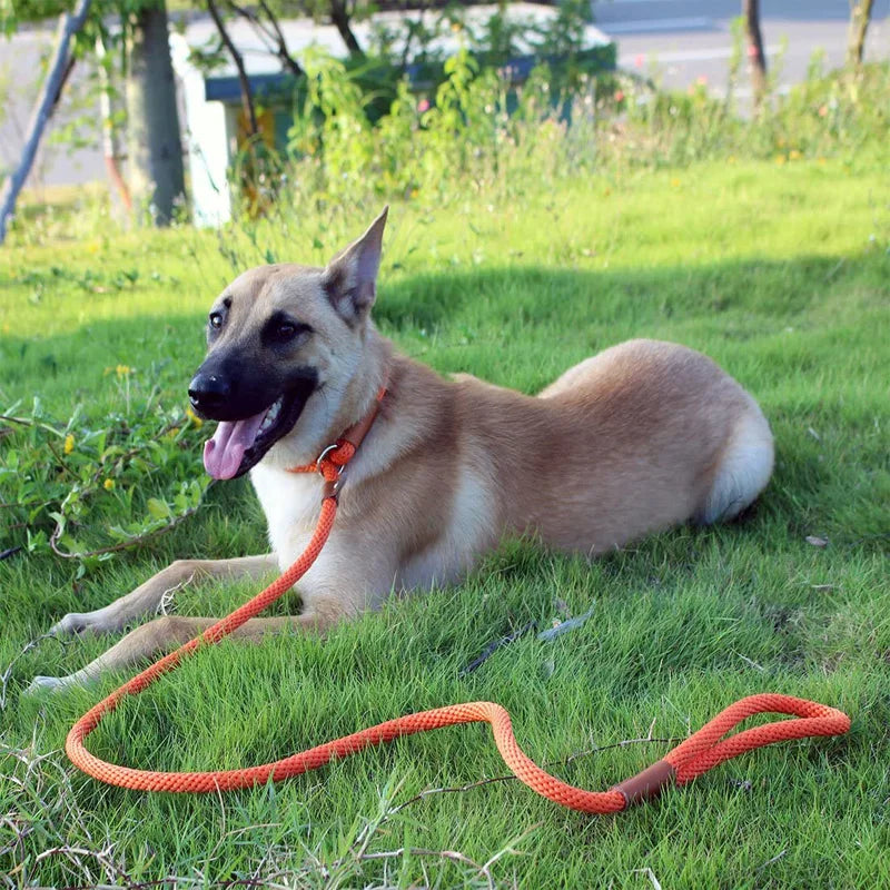 Dog Collar Anti-slip Lead Leash High Strength Braided Rope 