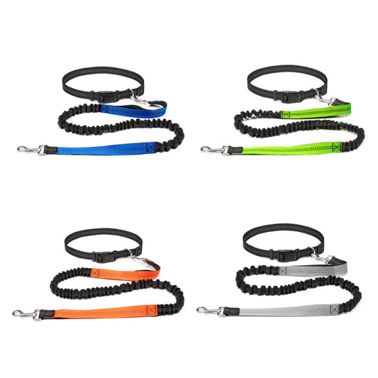 Dog Leash for Walking Running Jogging Adjustable Waist Belt C 