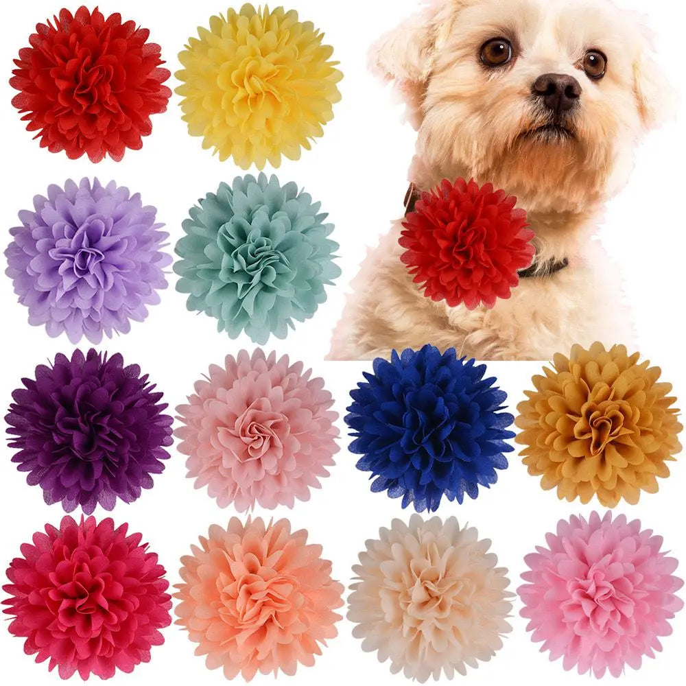 50 pieces BIG FLOWERS for Pet Collar, small dog grooming accessories.