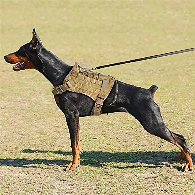 Military Tactical Large Dog Harness with Rope Reflective Handle Rop 