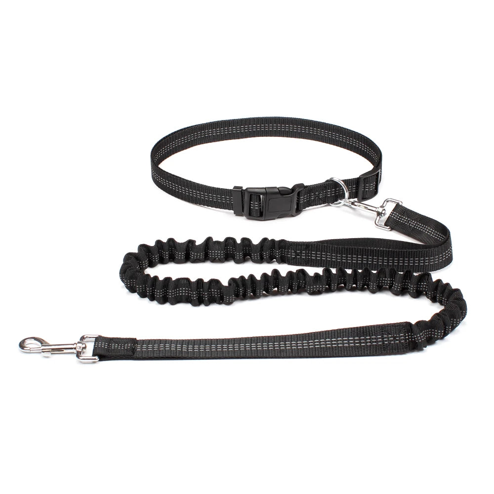 Dog Leash for Walking Running Jogging Adjustable Waist Belt C 