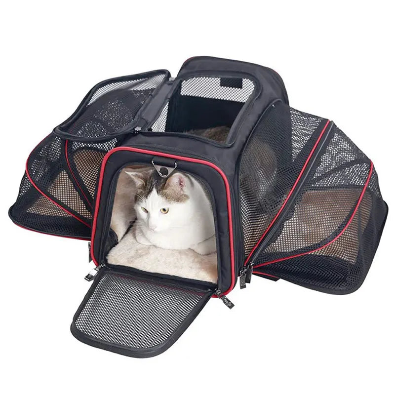 Mochila DE Transporte portátil para mascotas, bolso de hombro plegable transpirable, bolsas de transporte para gatos y perros, bolso de viaje para mascotas, bolsa de transporte