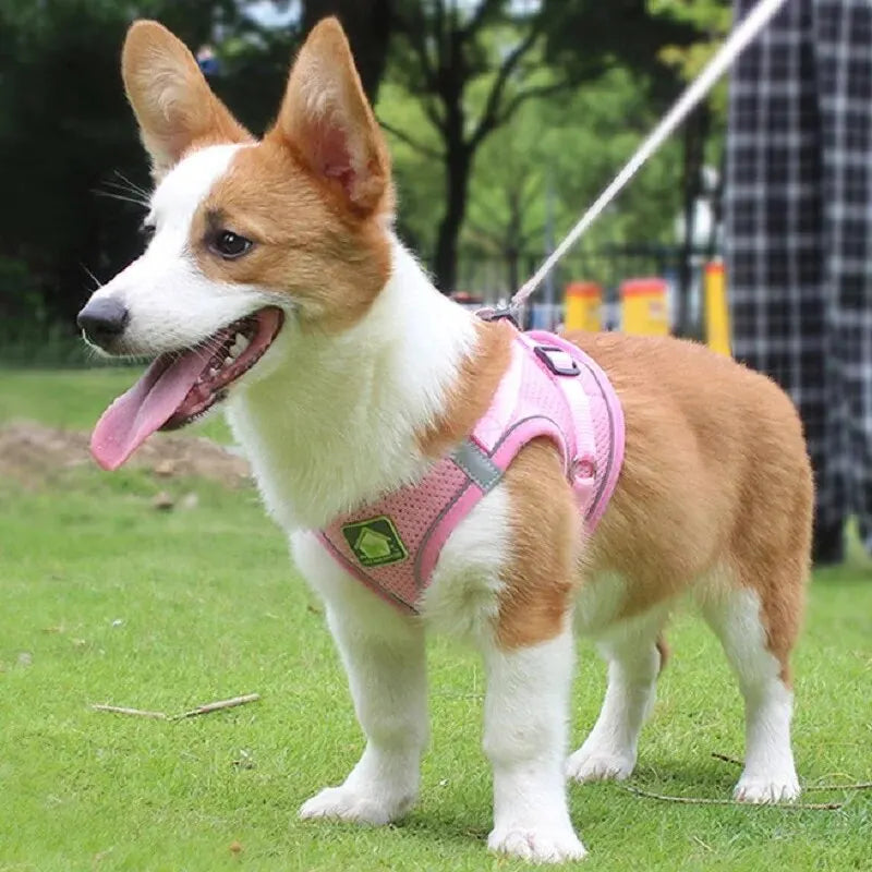 Conjunto de arnés y correa reflectante para mascotas, chaleco sin tirones para perros y gatos, malla transpirable