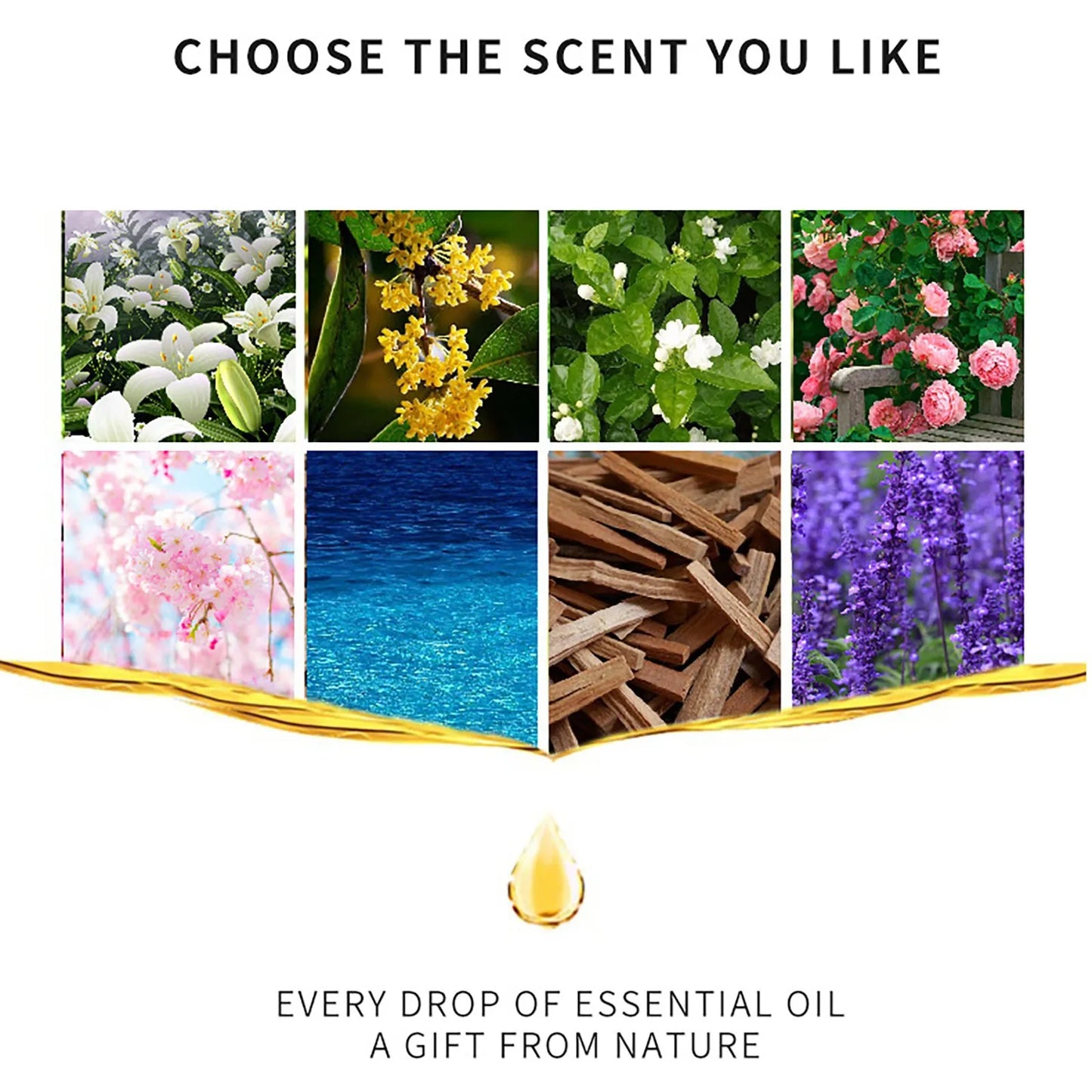 Water Soluble Essential Oil for Aromatherapy Flower Aroma Diffuser 