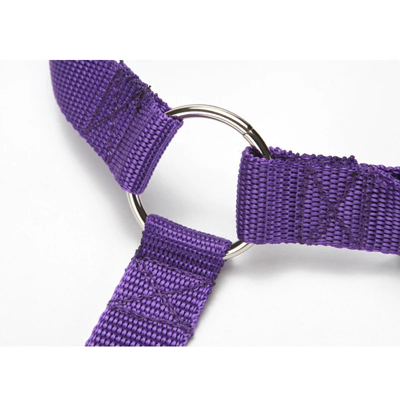 Cinturón de seguridad de coche para mascotas, correa de plomo de nailon, cinturón de seguridad de asiento trasero, Collar de arnés ajustable para perros, accesorios para mascotas, Color sólido, 2 en 1